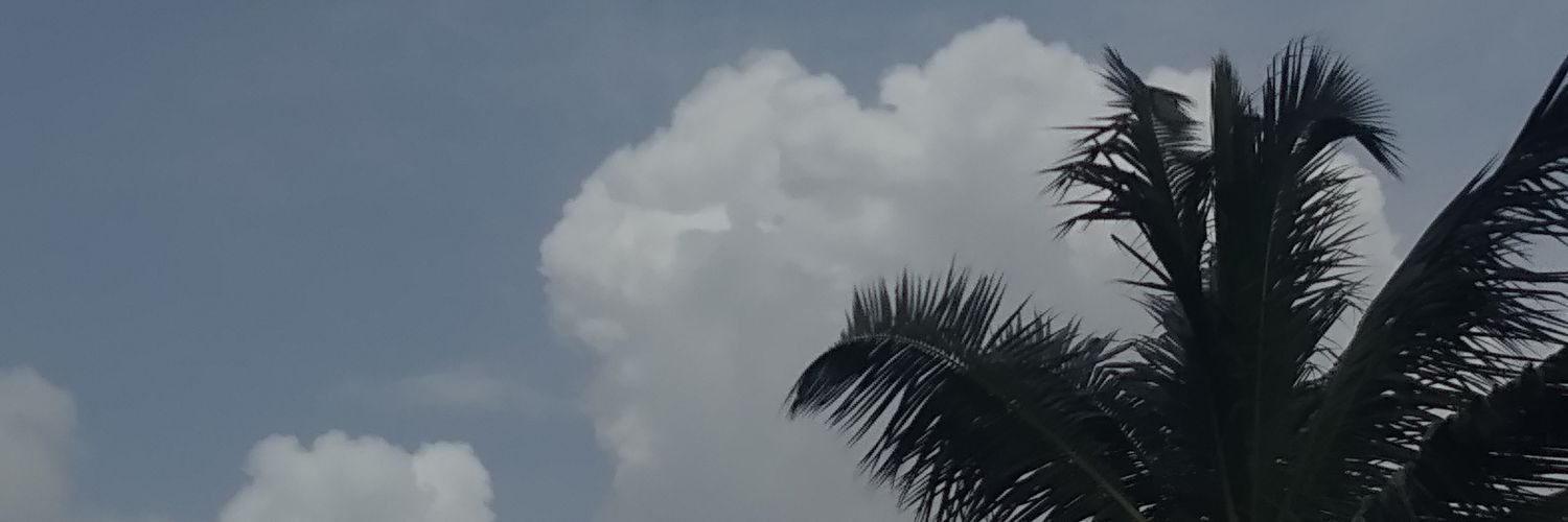 ssshrute's profile banner image