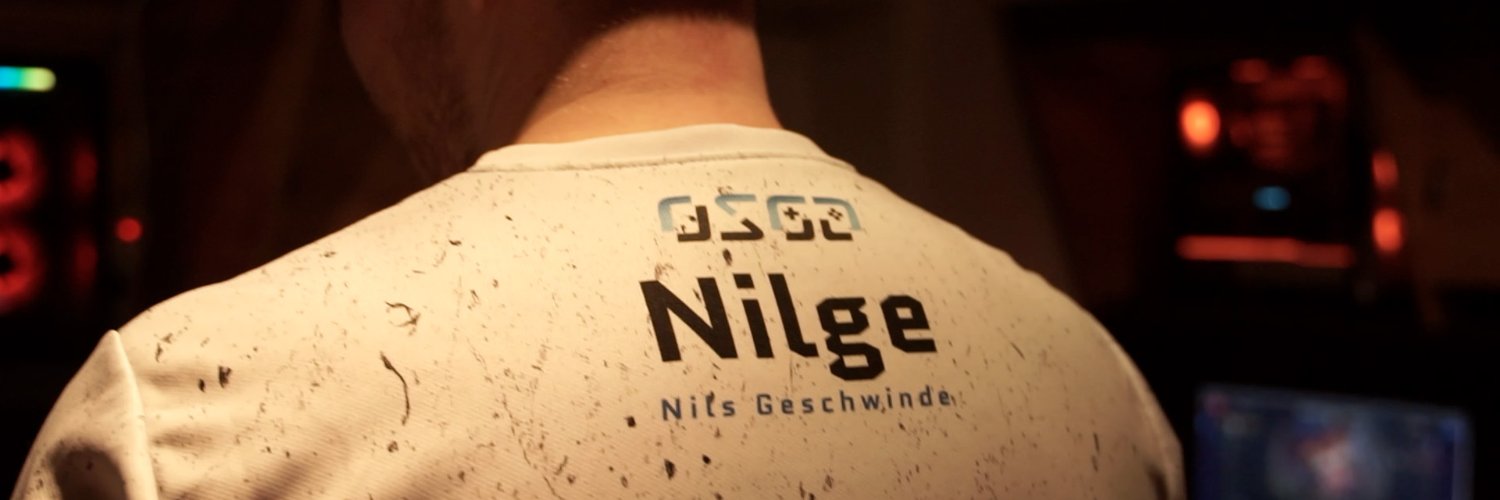 Nilge banner