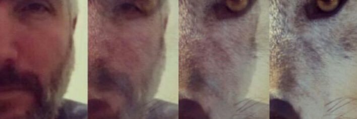 trk_ferit's profile banner image