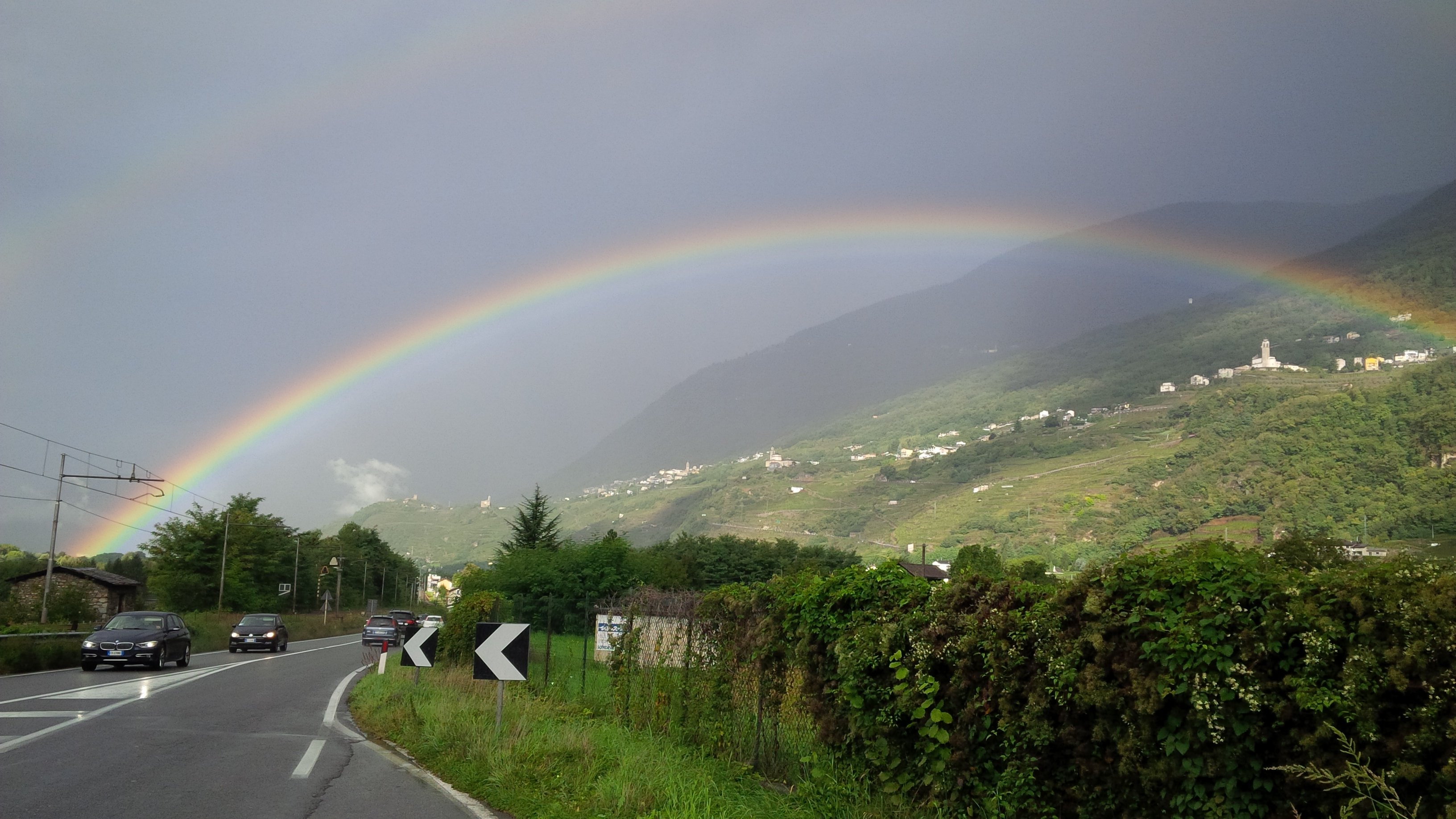 Daniela cuzzolin ob. banner