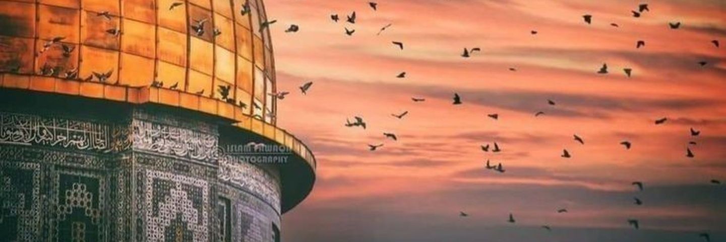 SevdaSevdaKara's profile banner image