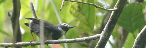 MikeAkresh Profile Banner