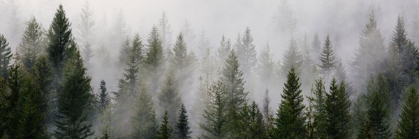 Lexxyypnw Profile Banner