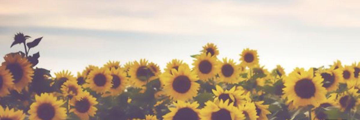 graceyyoung_'s profile banner image