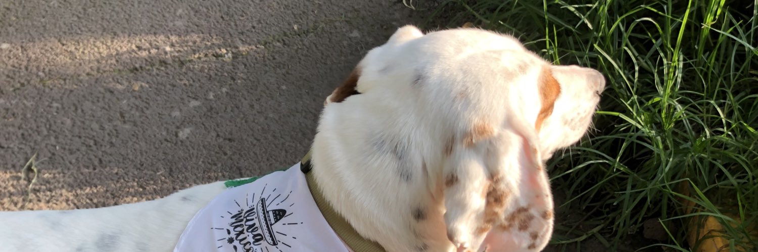 rraspo75's profile banner image