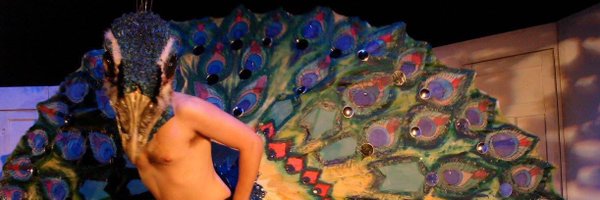 crys_stew Profile Banner