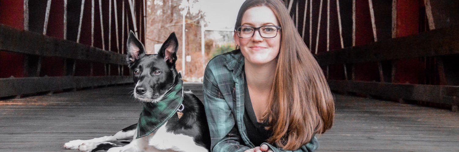 speedy gaming icon, trowzer banner