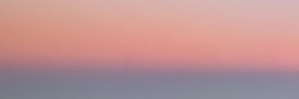 ElizabethTheng Profile Banner