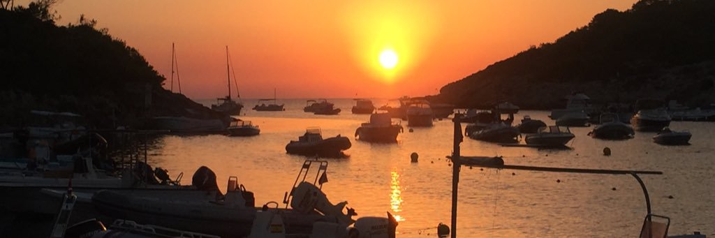 dominic cotter banner