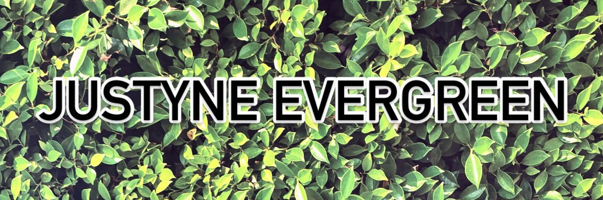 JustyneEvergre1's profile banner image
