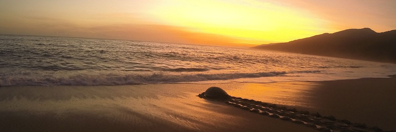 Aravak4x4's profile banner image