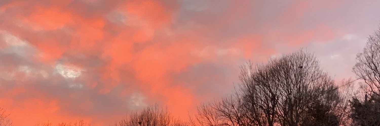 thewimp11's profile banner image