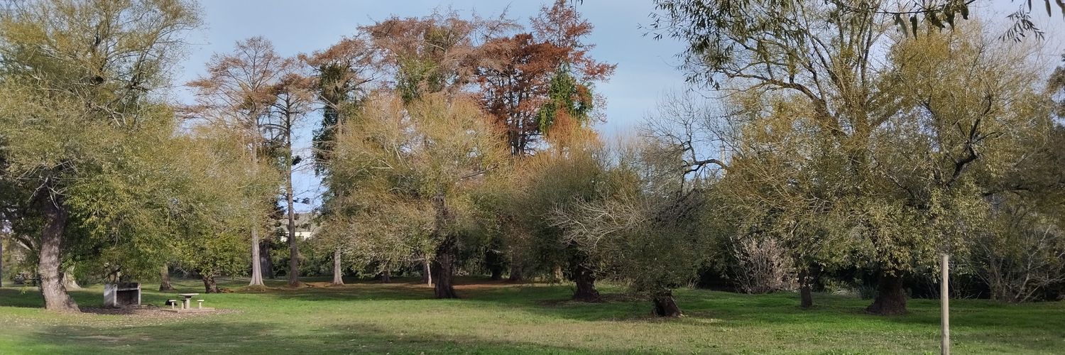 AmaliaCano's profile banner image