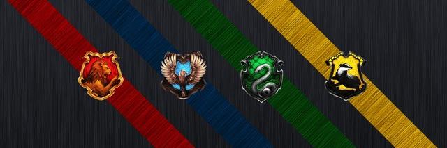Torgga's profile banner image