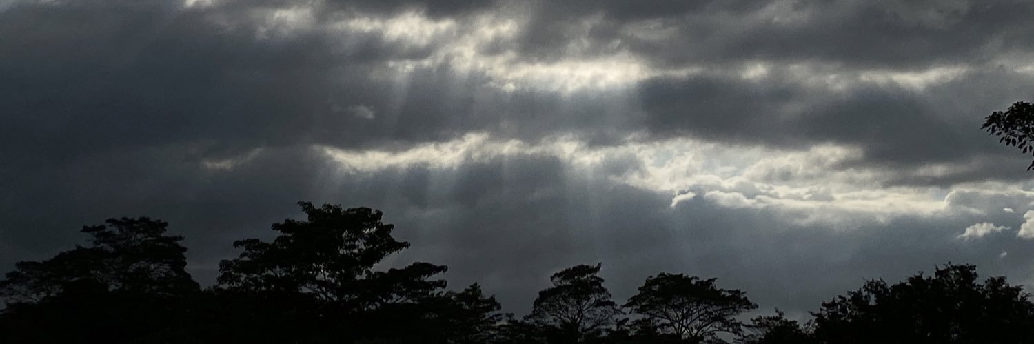 cali banner