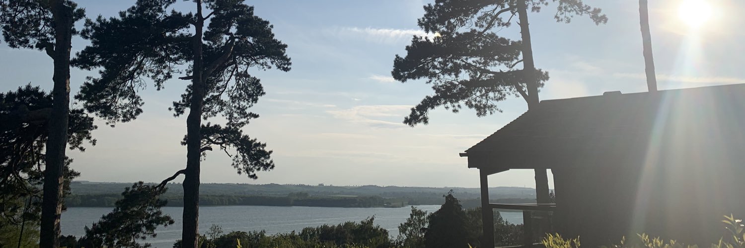 Victoria Cook banner