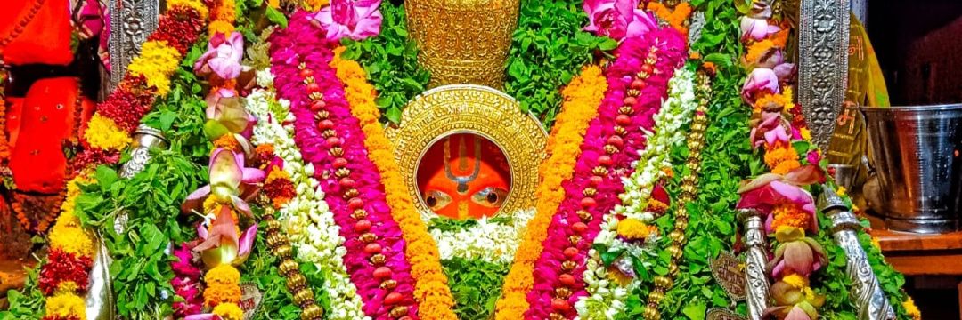 Cheeku yaduvanshi's banner