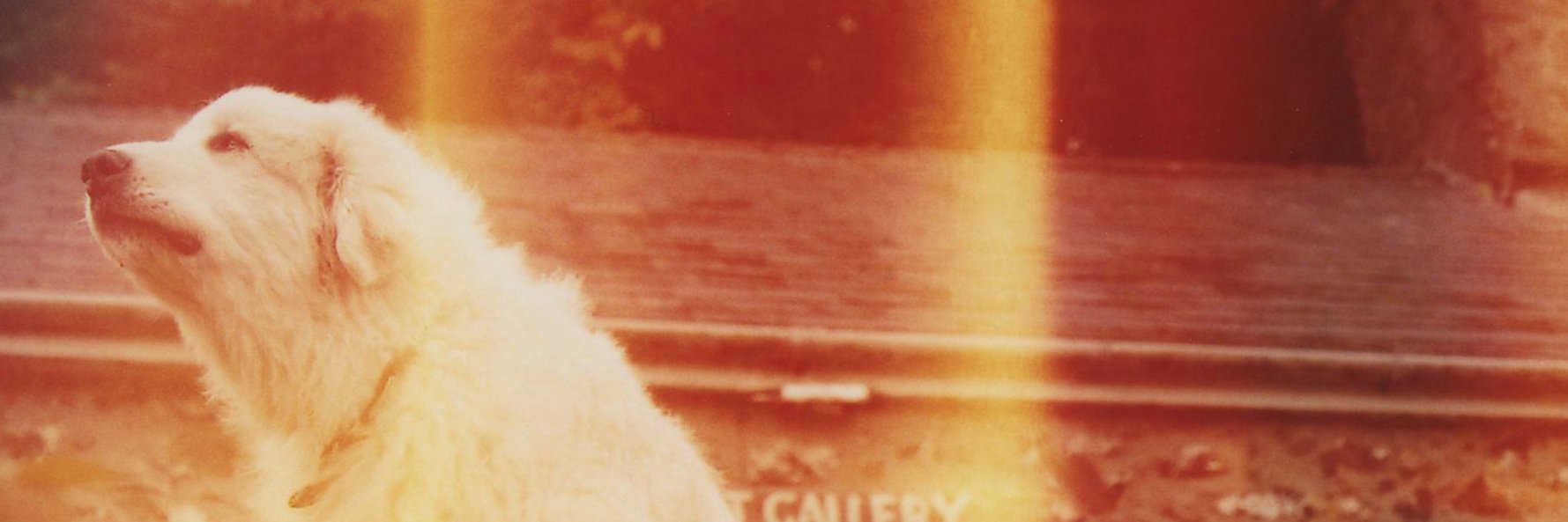 william_aspden's profile banner image