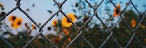 baileyisherreee's profile banner image