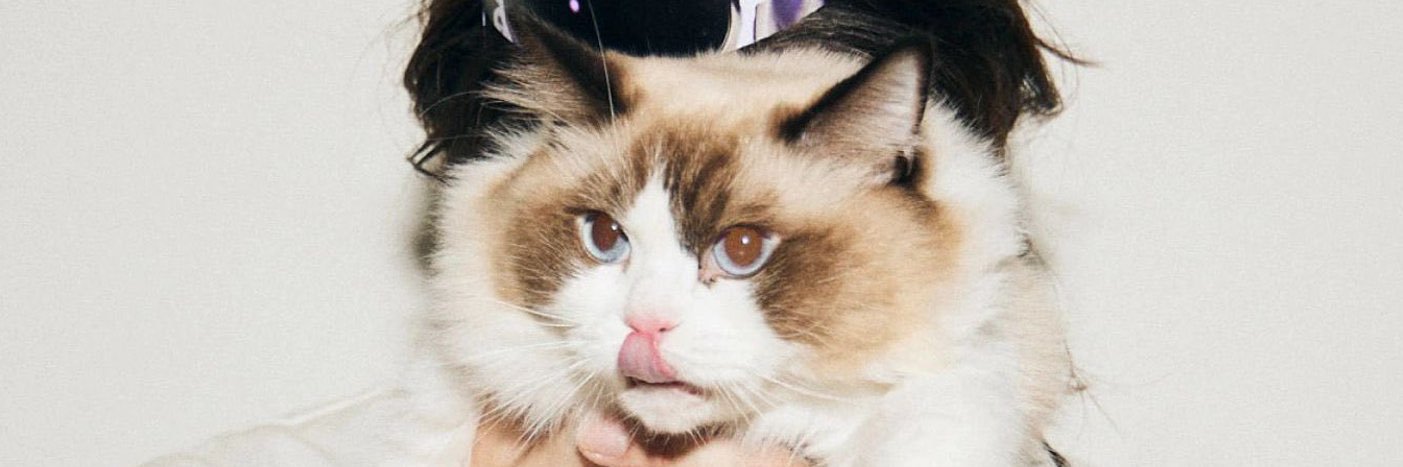 มะหงึ banner