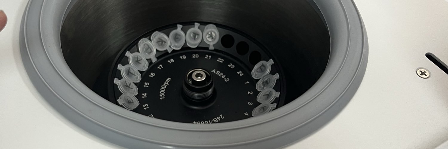 ann’s daily (sok iye) banner