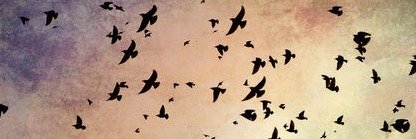 dan_ingrid's profile banner image
