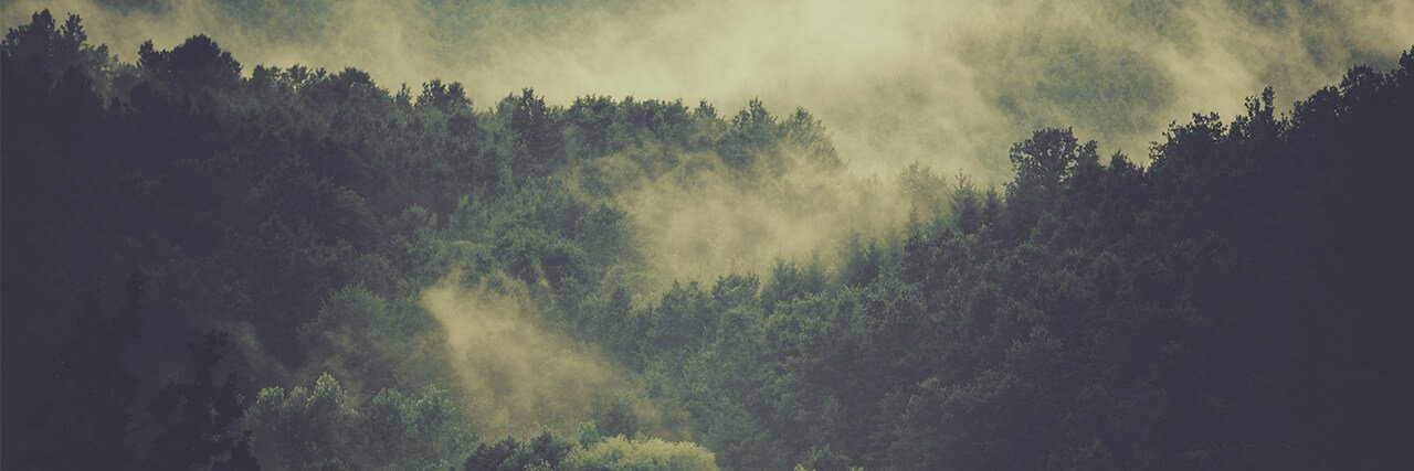 TrilochanaMoha4's profile banner image
