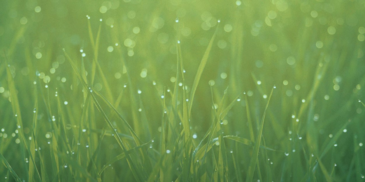 justine3663's profile banner image