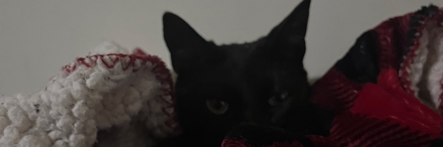 fer_uve's profile banner image
