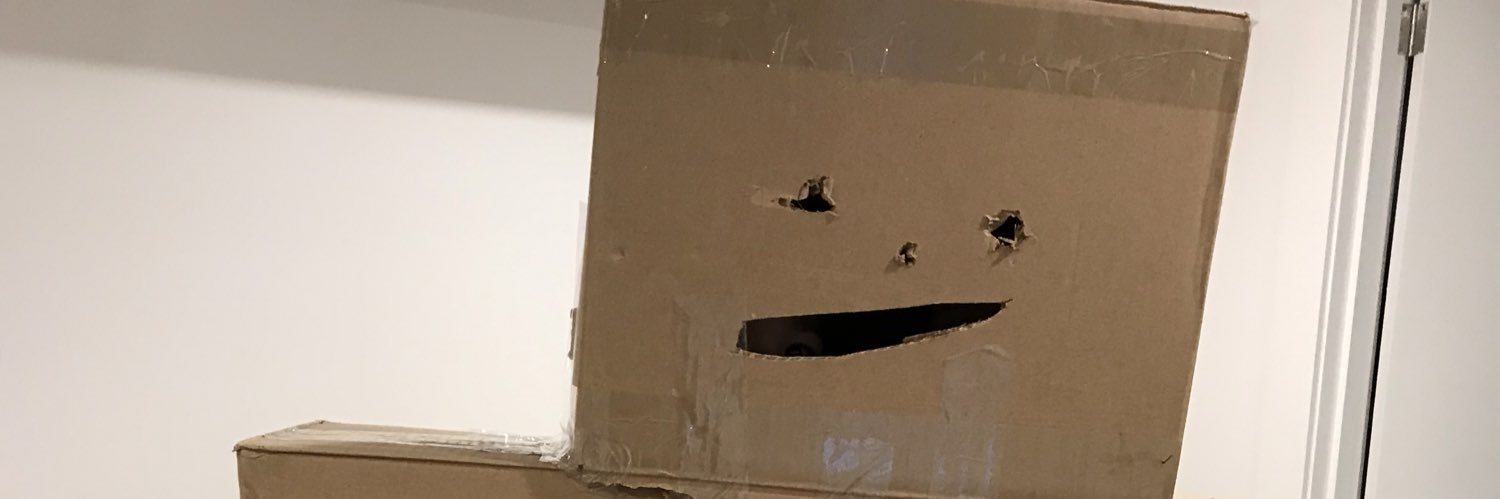 pikolint's profile banner image