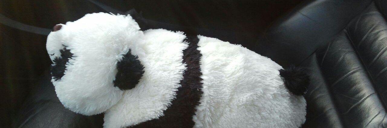 BefuddledPanda's profile banner image