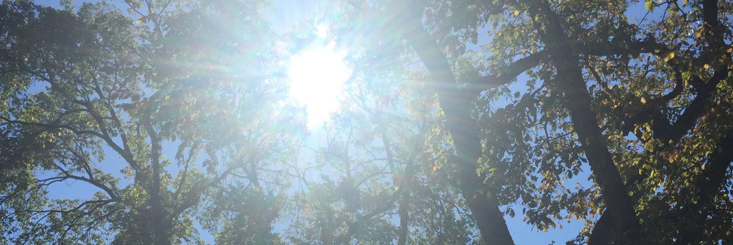 Jdarpar's profile banner image