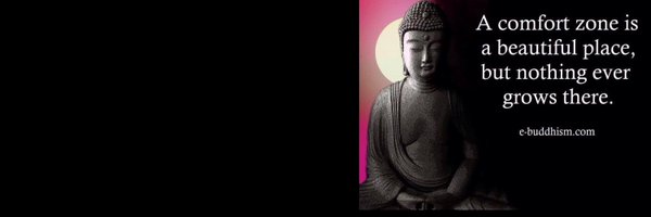 SilverBirch05 Profile Banner