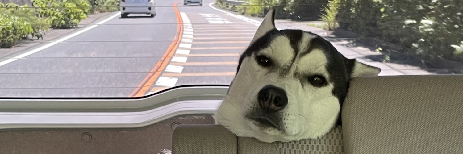 fA8KMuZWDifyyT5's profile banner image