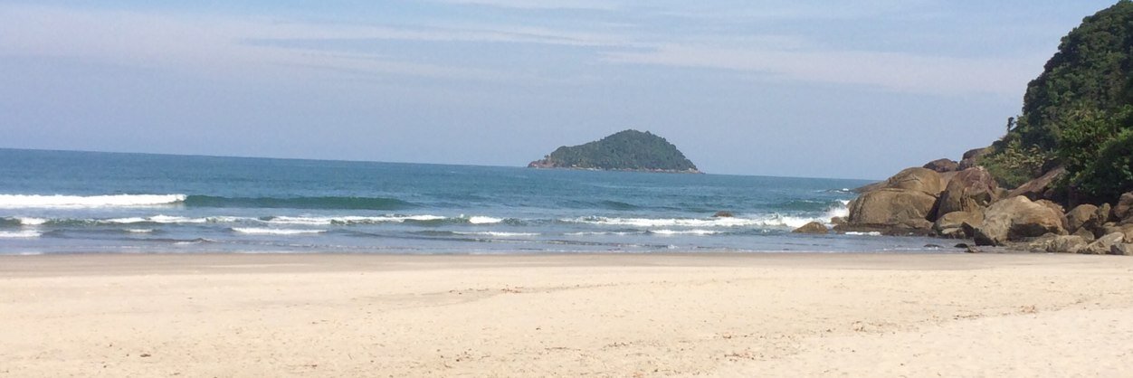 Timothy Chklovski banner