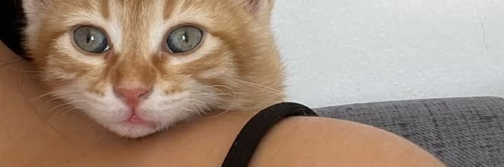 gulliarinaf's profile banner image