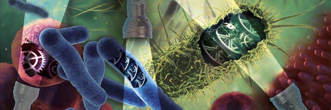 Typas Lab's banner