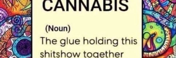 LevellePowell Profile Banner