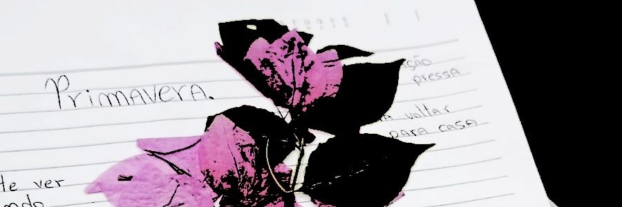 V1gaa Primavera banner