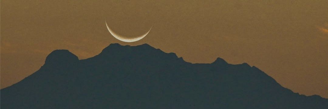 yerbadeolor's profile banner image