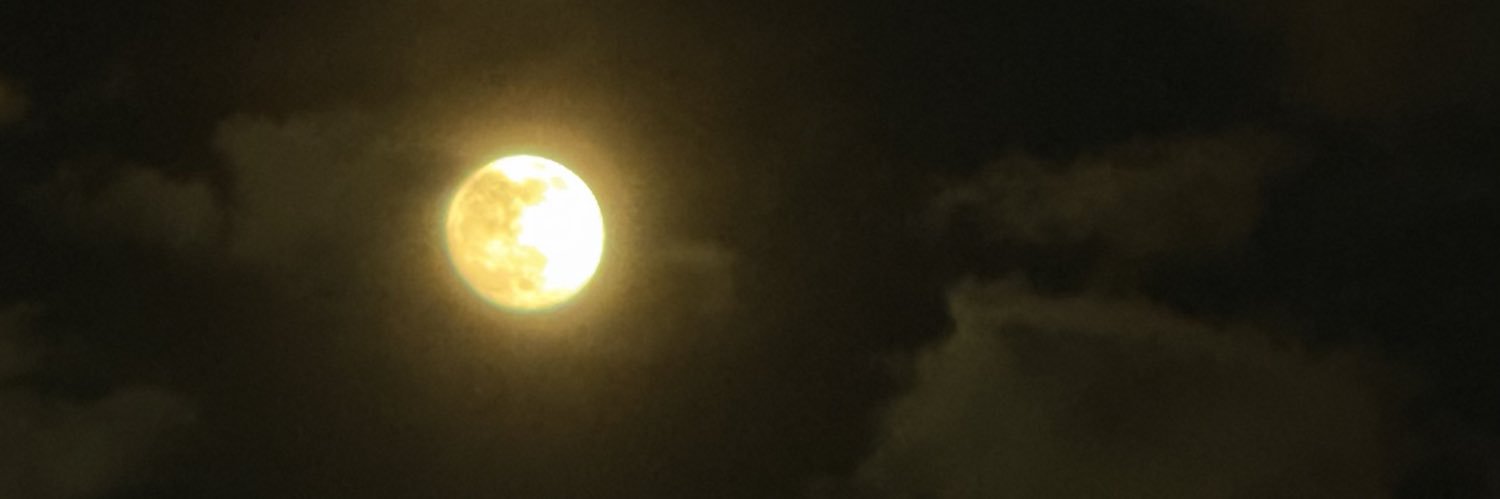 Lasmoreh's profile banner image