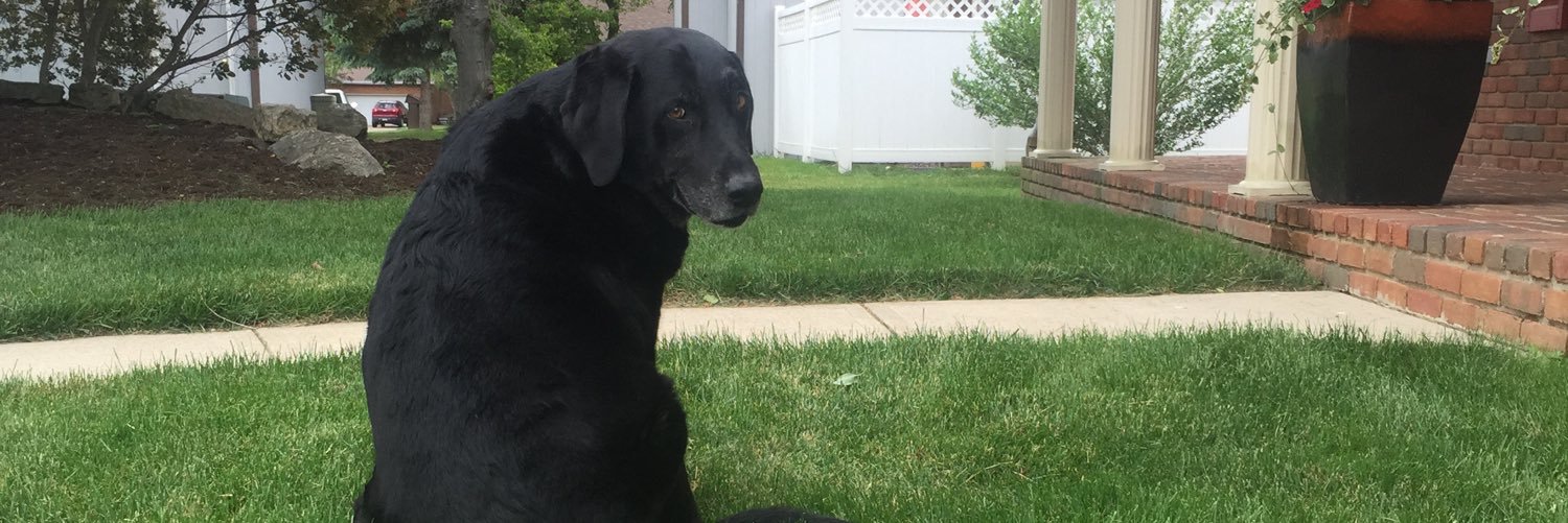 MaddyGarrison's profile banner image
