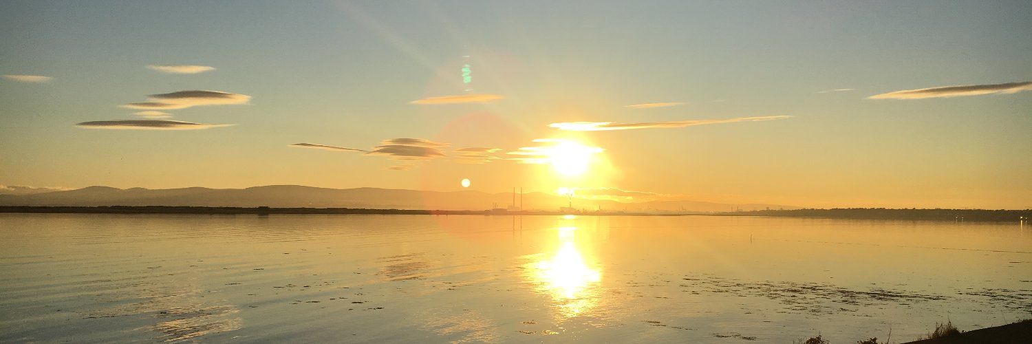 John P. Murphy banner