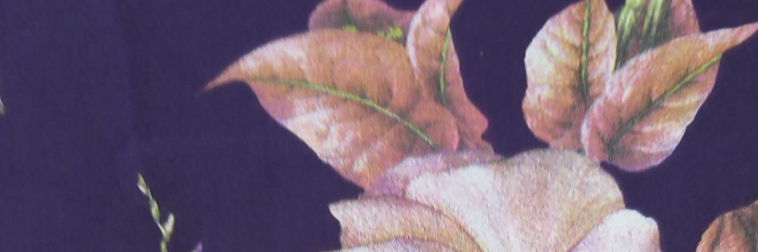 Jonturky's profile banner image