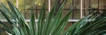 loupgarcin1's profile banner image