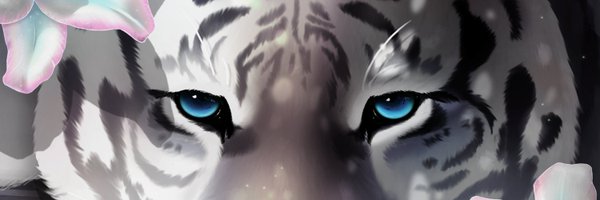 Dyewind1 Profile Banner