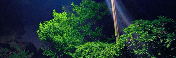 nyxies_ Profile Banner