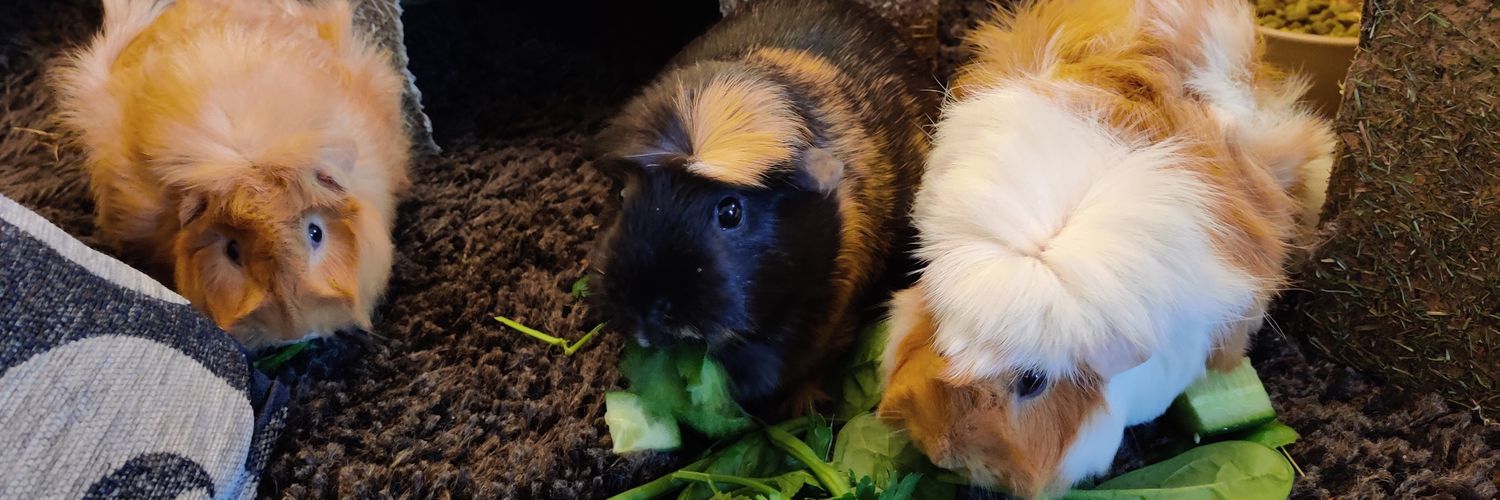 Coby James Clarke banner