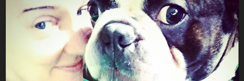 Kayxbby's profile banner image