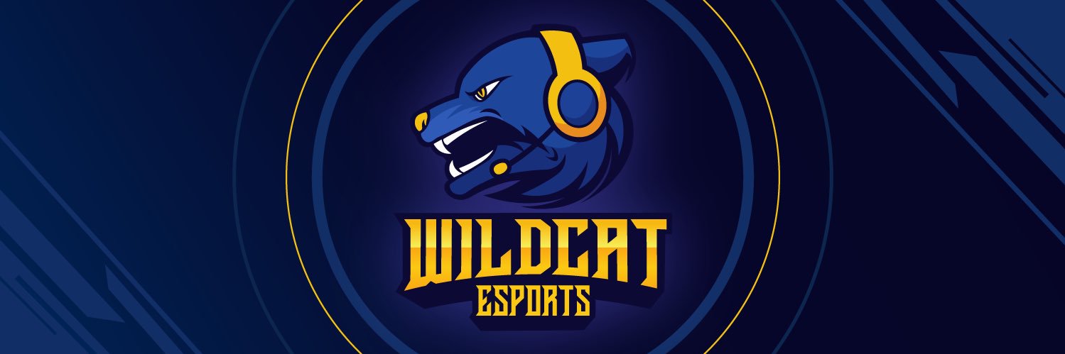 Wildcat Esports banner